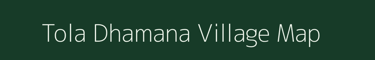 Tola Dhamana village map in Bihar