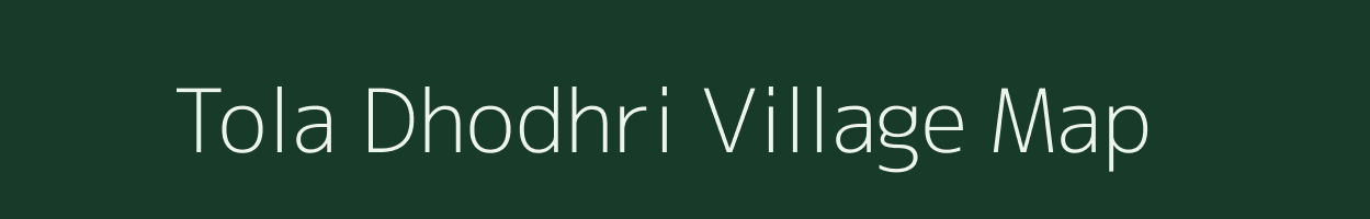 Tola Dhodhri village map in Bihar