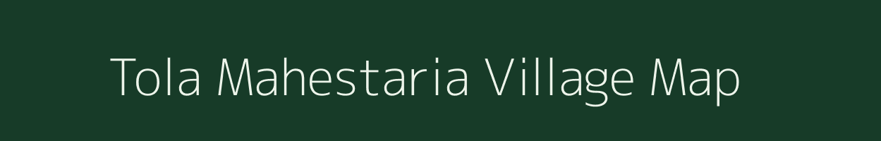 Tola Mahestaria village map in Bihar