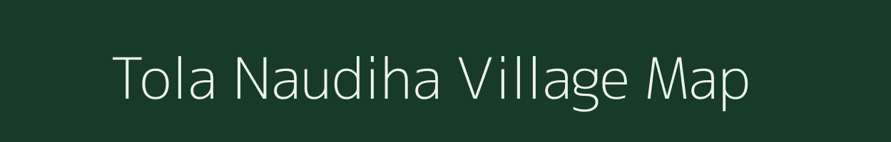 Tola Naudiha village map in Bihar