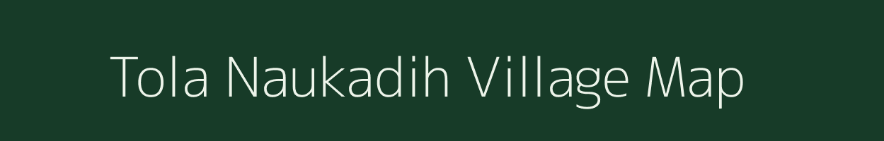 Tola Naukadih village map in Bihar