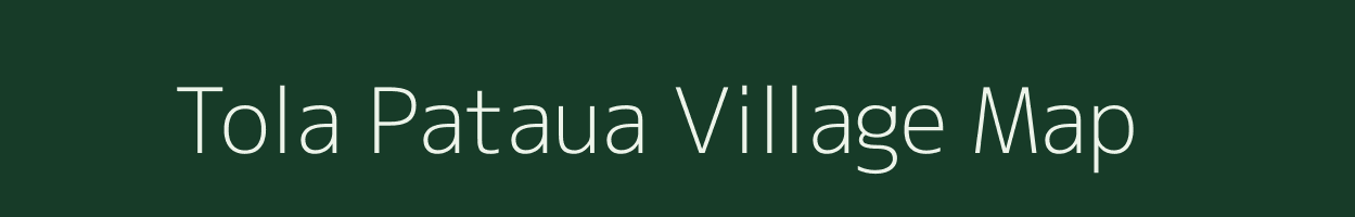 Tola Pataua village map in Bihar