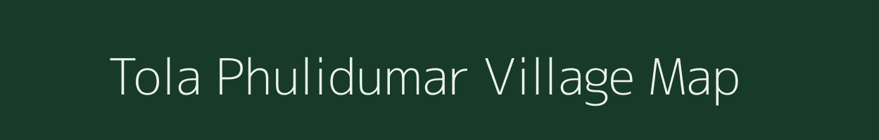 Tola Phulidumar village map in Bihar