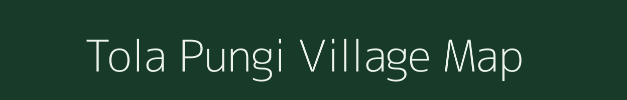 Tola Pungi village map in Bihar