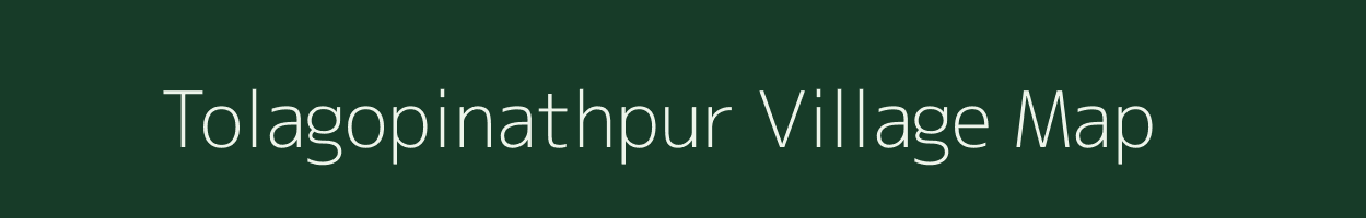 Tolagopinathpur village map in Odisha