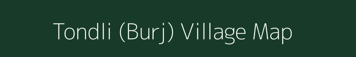 Tondli (Burj) village map in Maharashtra