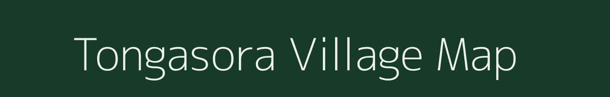 Tongasora village map in Mizoram