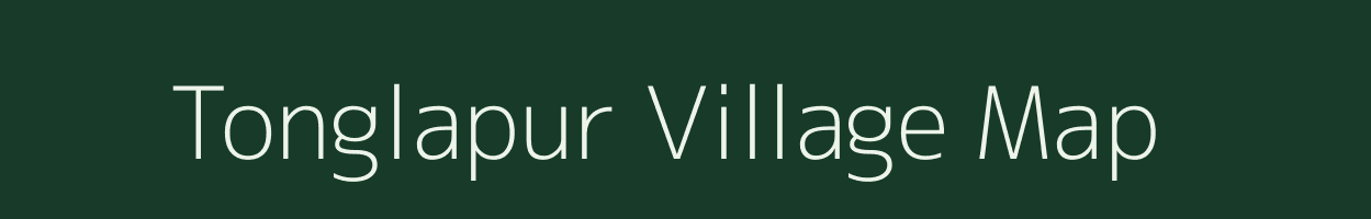 Tonglapur village map in Maharashtra