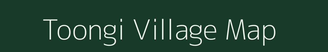 Toongi village map in Rajasthan