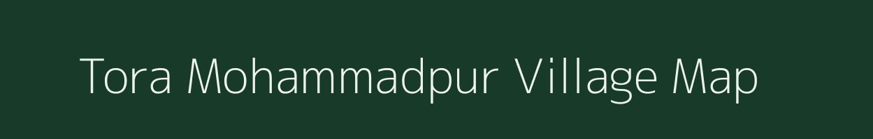 Tora Mohammadpur village map in Uttar Pradesh