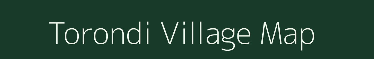 Torondi village map in Chhattisgarh