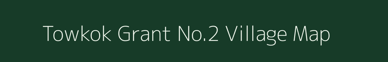 Towkok Grant No.2 village map in Assam