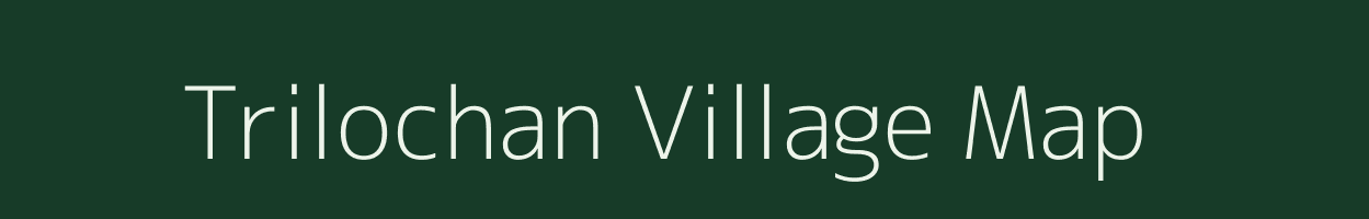 Trilochan village map in Assam