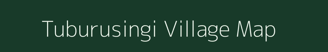 Tuburusingi village map in Odisha