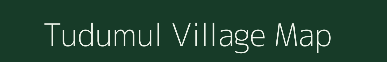 Tudumul village map in Odisha