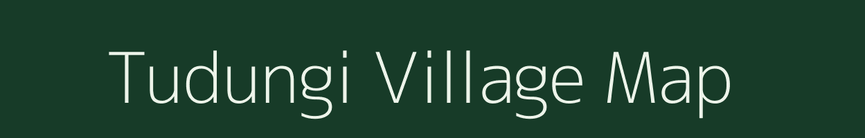 Tudungi village map in Odisha