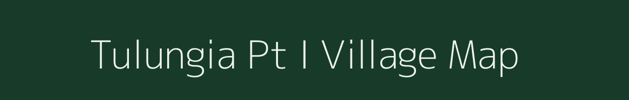 Tulungia Pt I village map in Assam