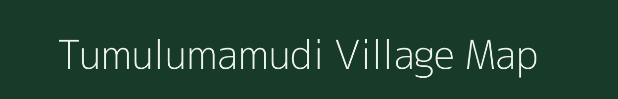 Tumulumamudi village map in Odisha