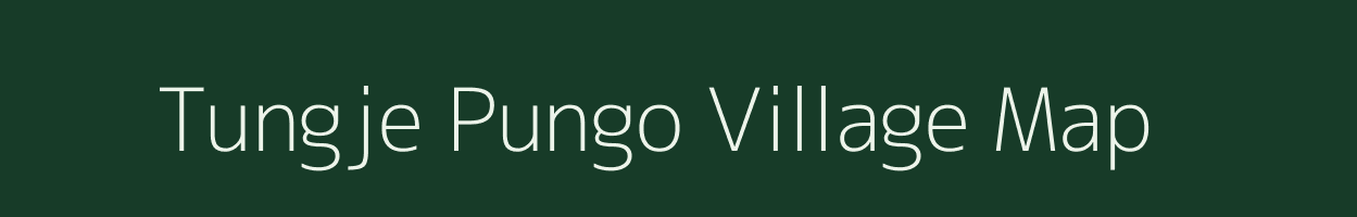 Tungje Pungo village map in Assam