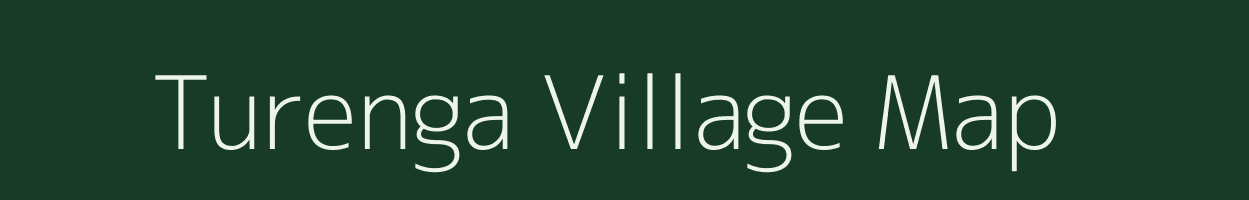 Turenga village map in Chhattisgarh