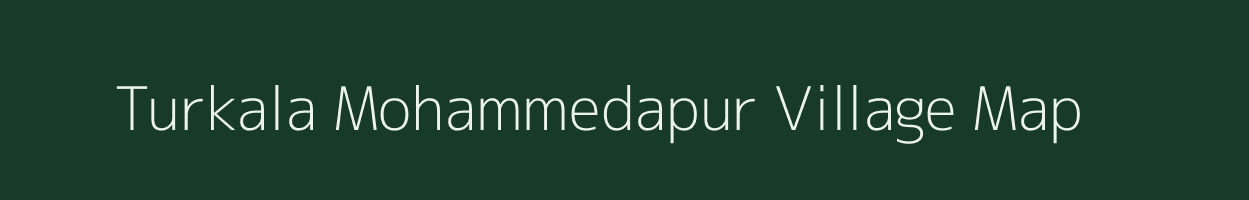 Turkala Mohammedapur village map in Andhra Pradesh