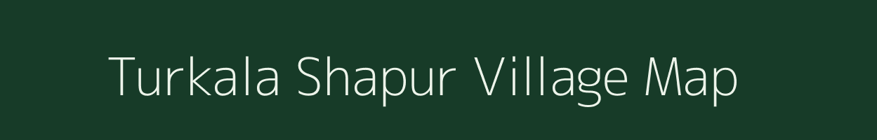 Turkala Shapur village map in Andhra Pradesh