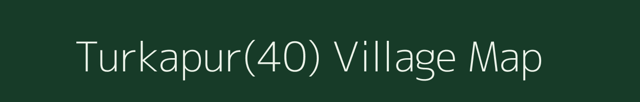 Turkapur(40) village map in Haryana