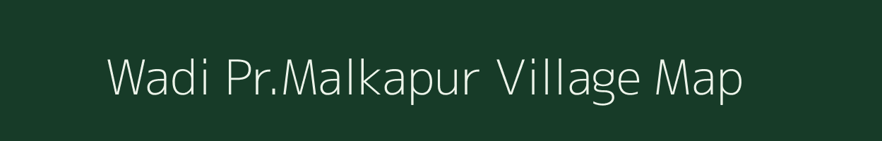 Wadi Pr.Malkapur village map in Maharashtra