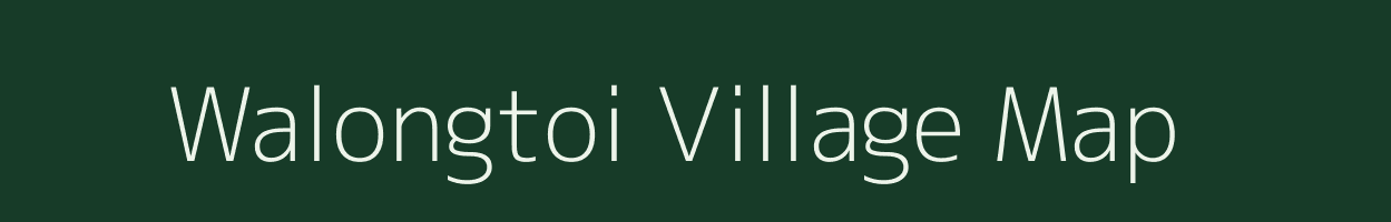 Walongtoi village map in Arunachal Pradesh