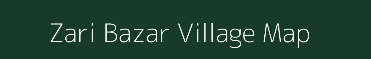 Zari Bazar village map in Maharashtra