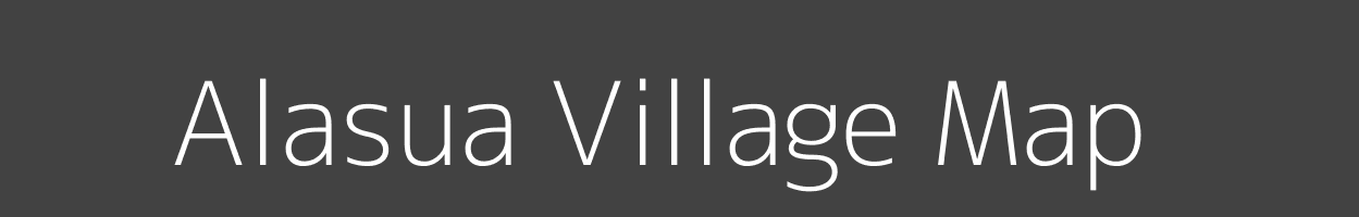 Map of Alasua Village in Odisha Image