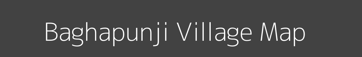 Map of Baghapunji Village in Odisha Image