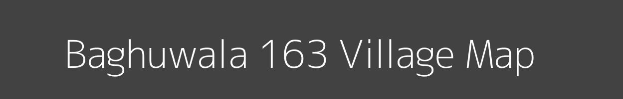 Map of Baghuwala 163 Village in Punjab Image