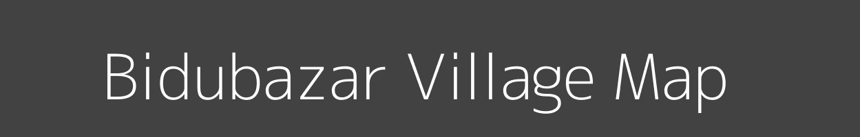 Map of Bidubazar Village in Odisha Image