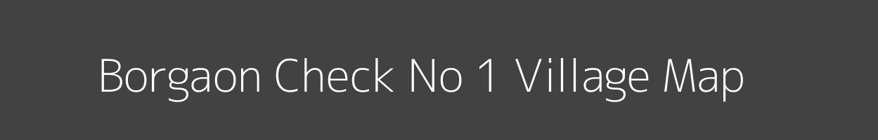 Map of Borgaon Check No 1 Village in Maharashtra Image