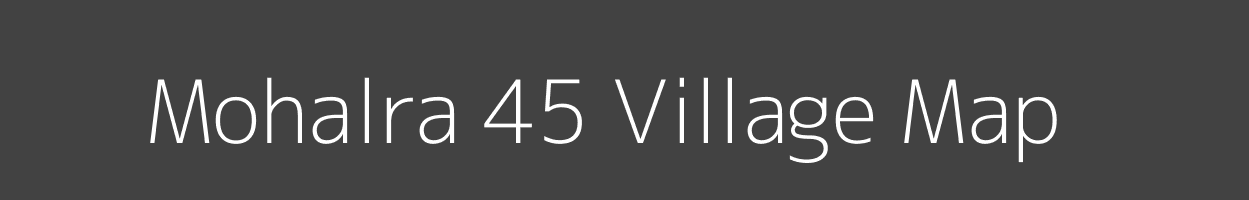 Map of Mohalra 45 Village in Haryana Image