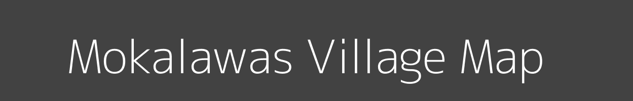 Map of Mokalawas Village in Rajasthan Image