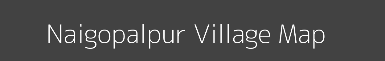 Map of Naigopalpur Village in Odisha Image