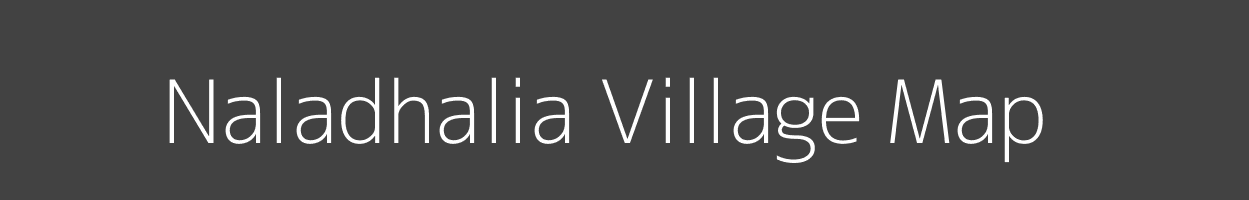 Map of Naladhalia Village in Odisha Image