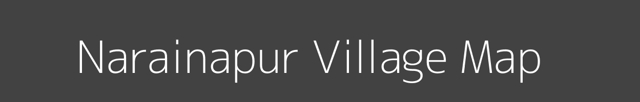 Map of Narainapur Village in Bihar Image