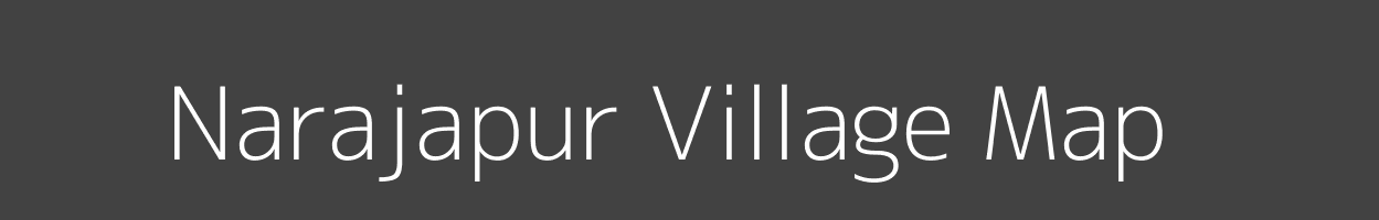 Map of Narajapur Village in Odisha Image