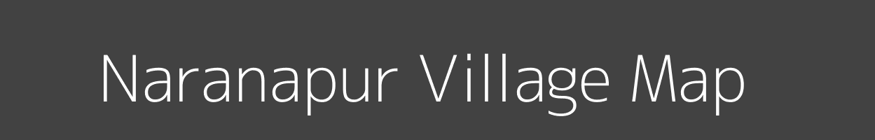 Map of Naranapur Village in Odisha Image