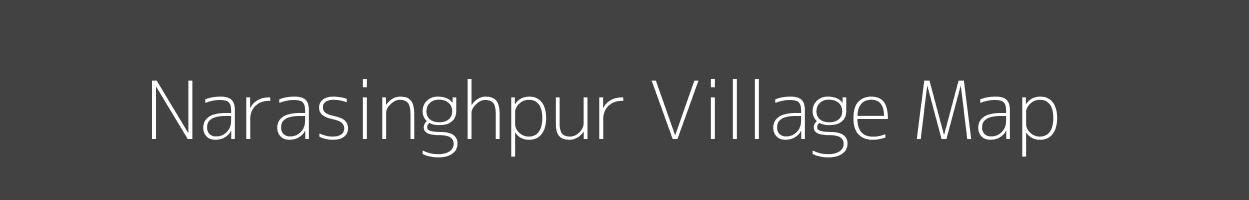 Map of Narasinghpur Village in Odisha Image