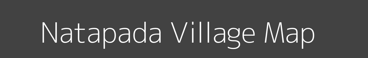 Map of Natapada Village in Odisha Image