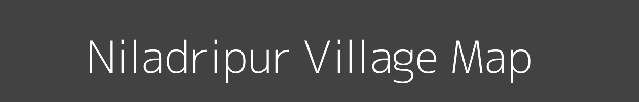 Map of Niladripur Village in Odisha Image