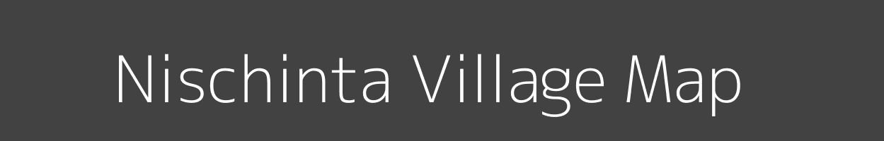 Map of Nischinta Village in Odisha Image