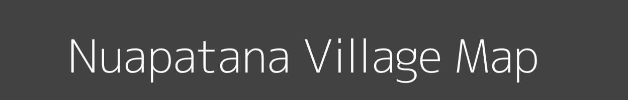 Map of Nuapatana Village in Odisha Image