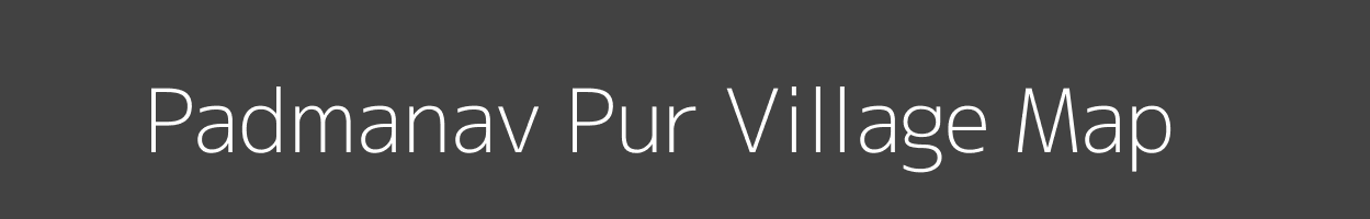 Map of Padmanav Pur Village in Odisha Image