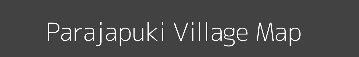 Map of Parajapuki Village in Odisha Image