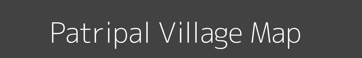 Map of Patripal Village in Odisha Image